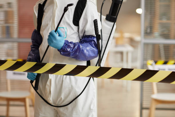 Professional Hoarding Cleanup technician working in Harpswell, ME